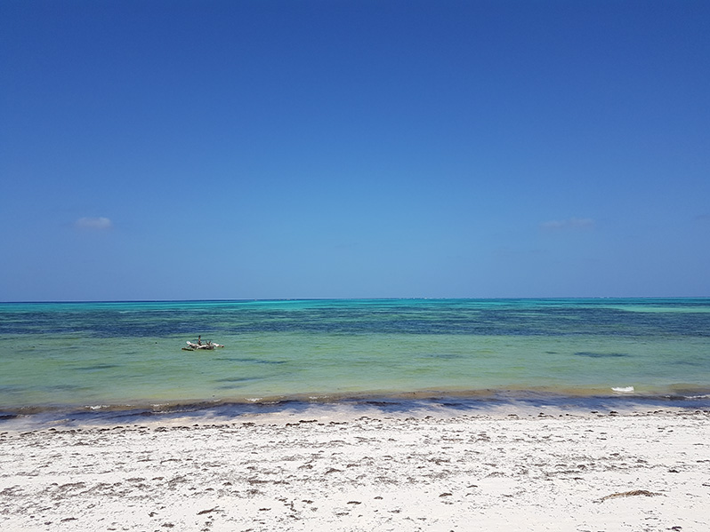 A plaże w Jambiani wyglądają mniej więcej tak