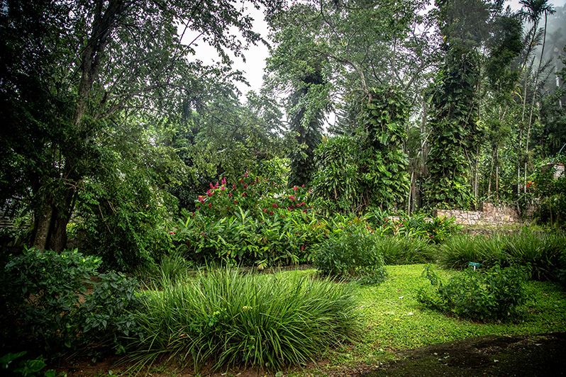 Ogród botaniczny Soroa